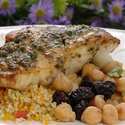 Grouper Mediterranean